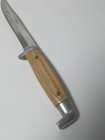 Vintage Queen Q Stainless Steel Knife Stag Horn Handle Fixed Blade 