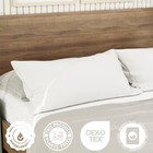 Standard Size 20 X 26  Sleeping Bed Pillow Hypoallergenic Hotel Quality Usa Made