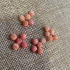 Vintage Natural Coral  Hand Carved Rose Pink Flowers Loose  20  2mm X 3mm