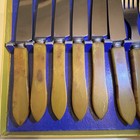 Beautiful Vintage Bakelite Flatware  Set