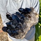 7 62lb Natural Smoky Black Quartz Cluster Crystal Mineral Specimen Healing