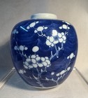 Antique Chinese Porcelain Blue   White Prunus Blossom Ginger Jar 5 Inch