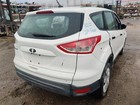 Wht Decklid Tailgate 2014-2016 Ford Escape