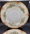 Noritake Anemone 10  Dinner Plates Set Of Two Made In Japan Gold Border Flowers