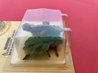 Schleich 42242 Chameleon Set World Of Nature