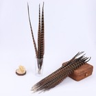 20 Pack Natural Pheasant 10-12 Inch Long Tail Feathers Diy Craft Party 25-30cm