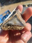 Black  Banded Unique Unknown Agate Polyhedral Multi Color  Rough
