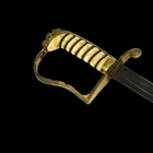 British Model 1805 Naval Sword 19th Century 1800s Lion Head Pommel