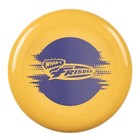 Frisbee Cool Flyer Outdoor Flying Disc  9 95 Inch Sports Disc Lightweight