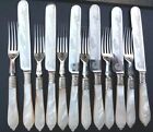 Stunning Antique Victorian Fern Engraved Carved Mother Pearl Cutlery Set 