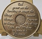 Alcoholic 20 Year Recovery Chip Medallion Coin Medal Token  Aa Anonymous