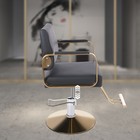 Hydraulic Barber Chair Adjustable Salon Beauty Spa Hair Styling Salon Chair