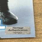 Daisy Ridley Signed Photo Autographed 8x10 Star Wars The Last Jedi Star W coa 