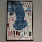 Hairspray Broadway Theater Poster Signed Autographed By Original Cast 