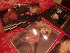 Stevie Nicks Tour Books Lot Of 9 Plus Hwiii Calendar Wild Heart Ral Street Angel