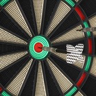 Soft Tip Electronic Dart Board Game Fat Cat Darts Viper Sport Led Display Score