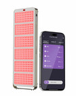 Embertouch Emberpro 650 Red Light Therapy Panel Infrared Light Device For Home