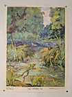 Save Nature Poster     Wild Nature Animals     Rare Soviet Green Party Poster 1984