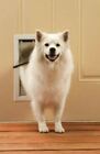 Petsafe Freedom Premium Aluminum Pet Door In Small Medium Large Or Extra Large