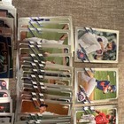 Large Baseball Card Lot