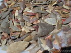 100 Colorful Neolithic Triangle Points