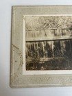 Antique Black   White Photo Woman Leaning Against A Fence  Looking At Flower