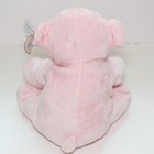 Ty Pluffies Woods Pink Baby Teddy Bear Stuffed Lovey Plush Sewn Eye 2010 New