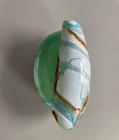 Handblown Glass Seashell 5  Pale Blue And Green