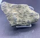 Ancient Ghandhra Era  A Fragmentary Gandharan Grey Schist Relief Carved