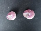  kkk200 Pair Of Janthina Violacea Bol   Shelharbour Nsw 26-29mm Sea Snail Shells