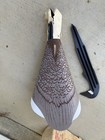 Vintage 1970s Cabelas Farm Form Canada Goose Decoys Fold Up Set Of 24 New Nos
