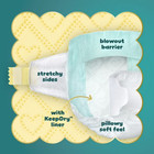 Pampers Swaddlers Diapers  Size 4  116 Count  select For More Options 