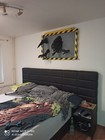 Alien Wall Mount 3d   Xenomorph Wall Mount