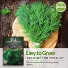 Herb Seeds Variety Pack     5 Heirloom Kitchen Herbs For Easy Indoor   Outdoor