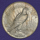     vg f - 1924 Peace Silver Dollar - 90  Us Coin