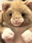 Vintage Chubby Fat Cat  Dakin Applause Peewee    pampered Pet   grumpy Brown Plush