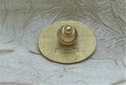 Texas Armadillo Lapel Pin