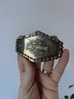 Vintage 1976 Harley Davidson Chain Belt Buckle - Motorcycle -  Biker Serial 615 
