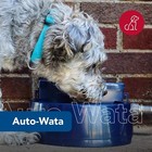 Pet  Auto-wata - Outdoor Dog   Cat Water Dispenser - Automatic Water Bowl For Pe