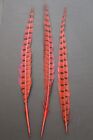 4 Color 20pcs  14 -16  Ringneck Pheasant Tail Feathers  Long Male Tail Feathers