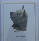 Cairn Terrier Dog Magnetic Notepad Note List Pad