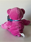 Fao Schwarz Girl Bear Pink Embroidered 10  Plush Stuffed Animal Toy