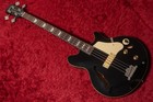 Epiphone Jack Casady Bass Ebony 3 865kg  no250823 