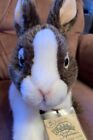 Webkinz Signature Dutch Bunny Wks1101 W Unused Code