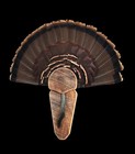 Turkey Fan Mount Plaque Turkey Fan Plaque Kit Barnwood Look Taxidermy Display