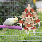 Natural Corn Stick Parrot Chew Toy Hanging Bird Cage Toy Macaw Cockatoo - Us