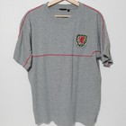 Wales Team Training Jersey Mens Large Football Soccer Shirt Gray
