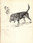 1938 Antique Bloodhound Print Vernon Stokes Bloodhound Illustration 4963m