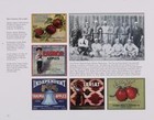 Ultimate Fruit Label Book Crate Advertisement Acme More