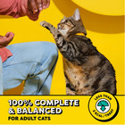 3 Pack Temptations Classic Savory Salmon Flavor Treats For Cats  30 Oz Tub